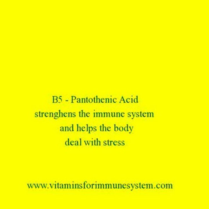 Vitamins For Immune System 10