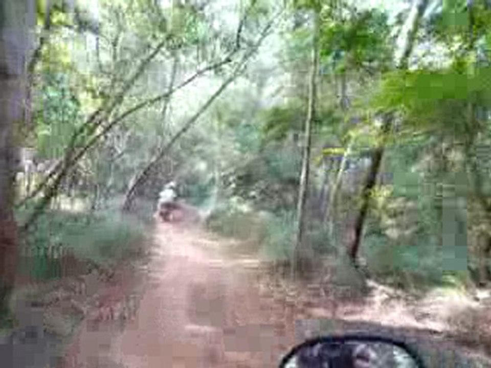 Balade dans Auroville