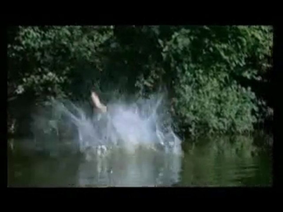 Un p'tit bain pour le chef !