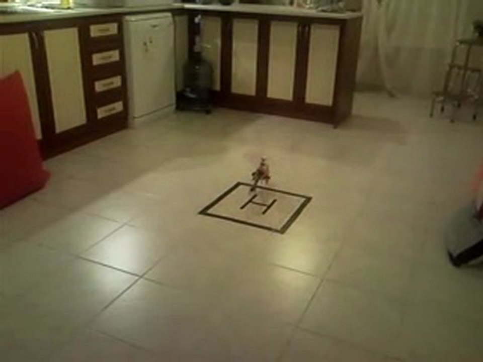 CB180Q HOVER DENEMESI