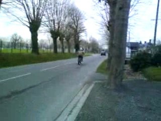 Derbi Bidalot replica 50