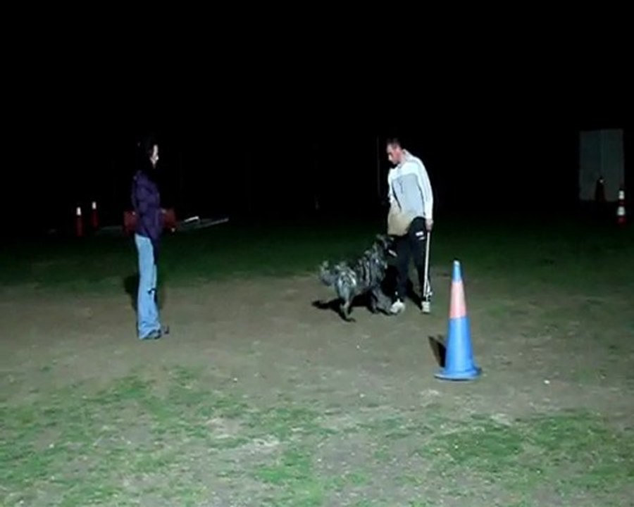 entrainement du 29.01.10