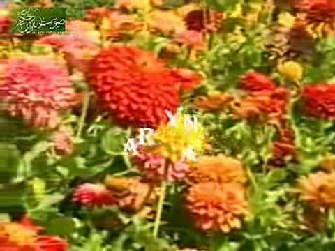 CORAN Sourat Tekwire petit garçon - MACHA ALLAH !!!avoir!!