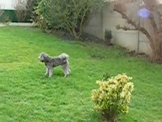 ETOILE ET ALTO 26 JANVIER 2010