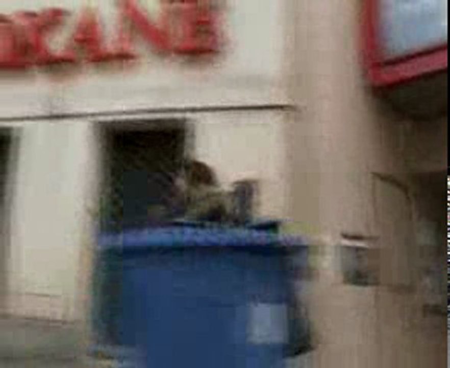 beaux art prairie-beaux art prairieh264