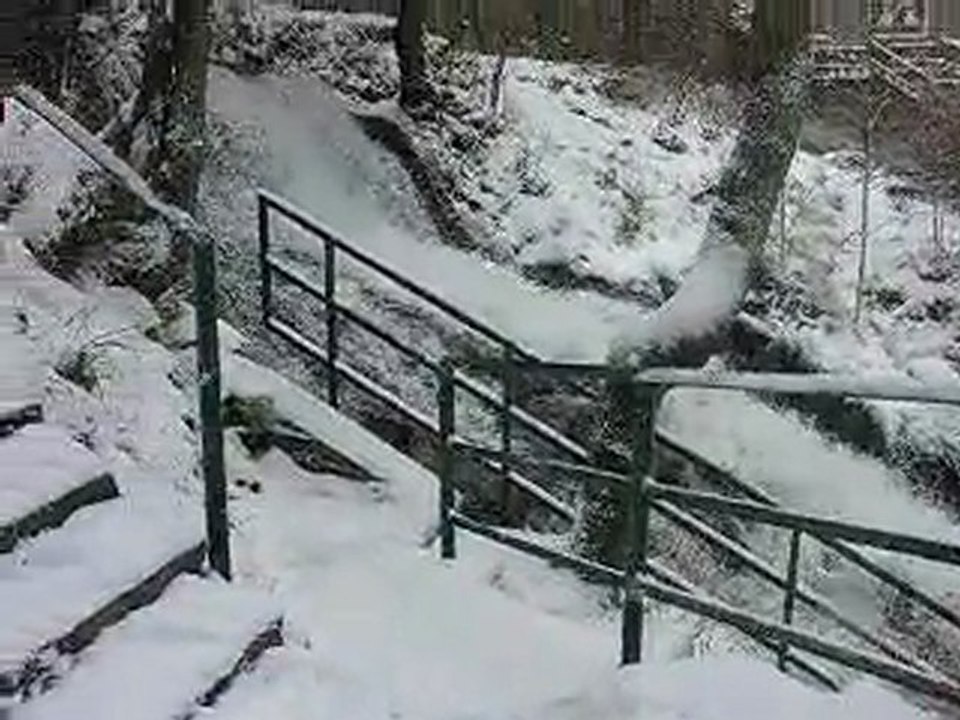 DSCN9910