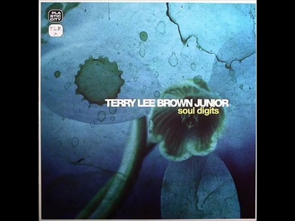 Terry Lee Brown Jr. - Soul Digits (Roberto Rodriguez Remix)