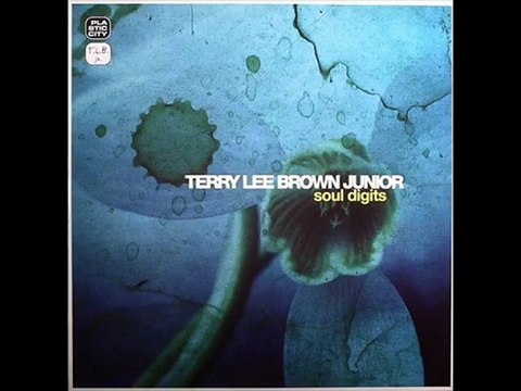 Terry Lee Brown Jr. - Soul Digits (Roberto Rodriguez Remix)