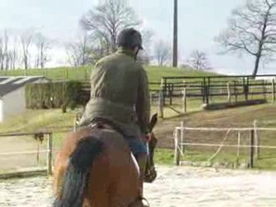 Sidarka de krystesam