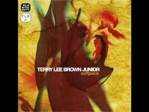 Terry Lee Brown Jr. - Night In Sutivan