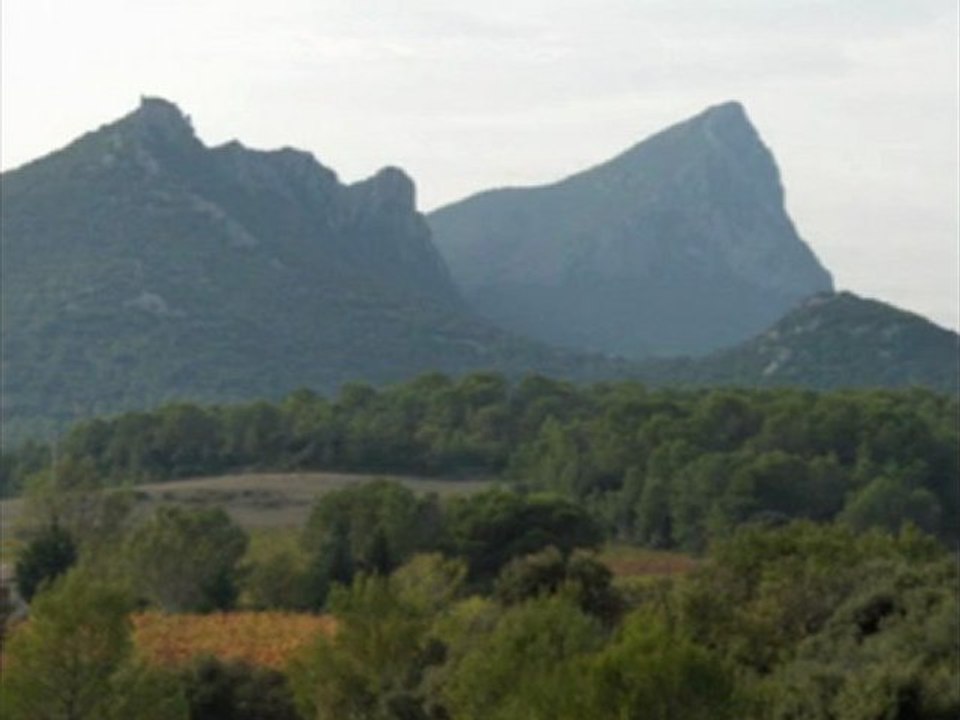 Le Pic Saint Loup