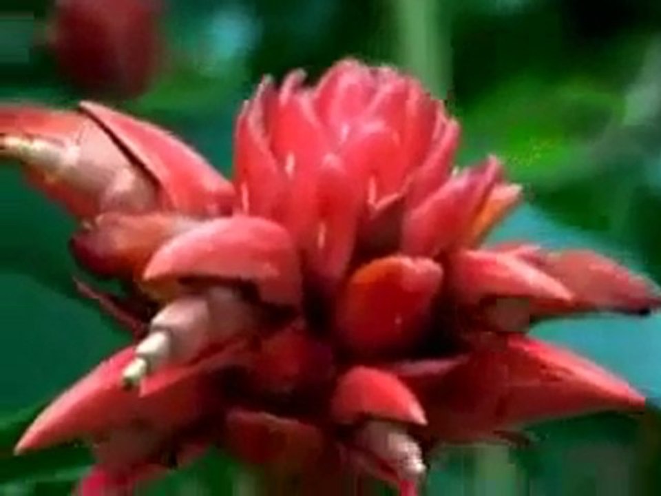 Doğanın müthiş güzellikleri büyüleyici