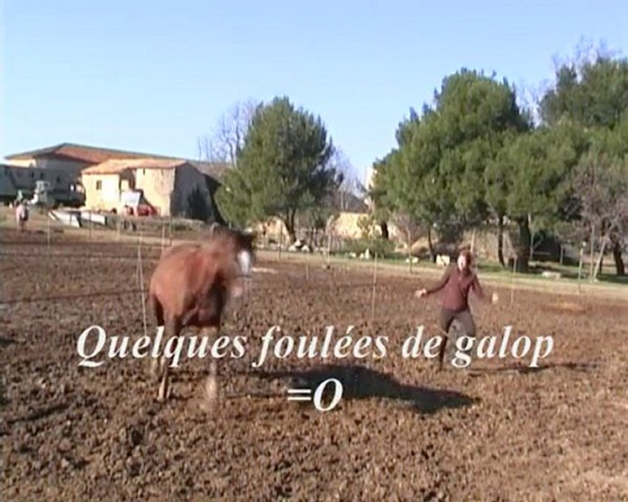 2010.01.27 Emilio travail à pied, cercle trot - galop