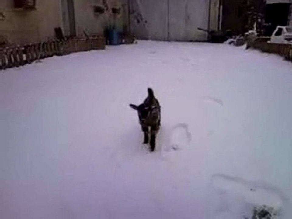 sous la neige