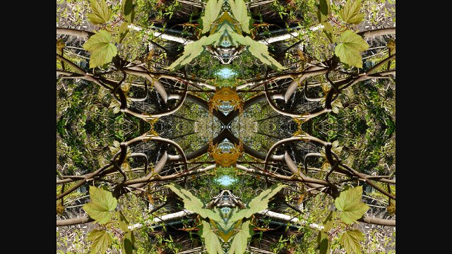 Sculptures-Vivantes le 20 avril 2009 à 11h48