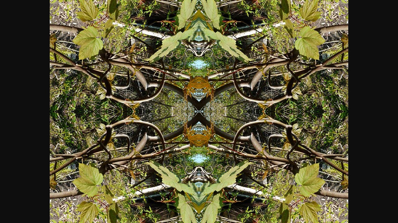 Sculptures-Vivantes le 20 avril 2009 à 11h48