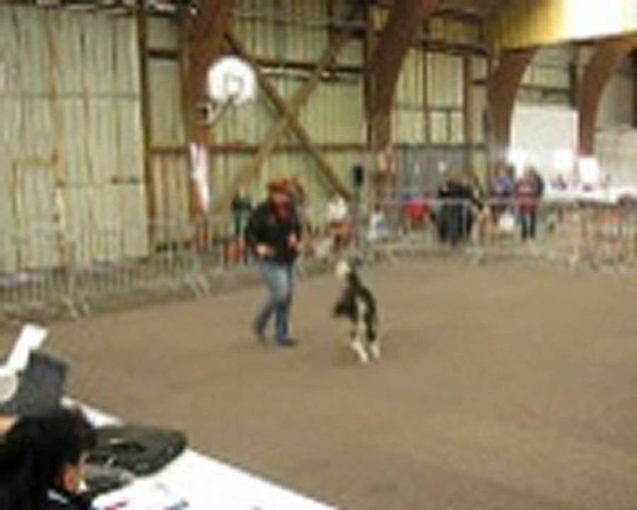 Chip obérythmée Elle descend de la montagne