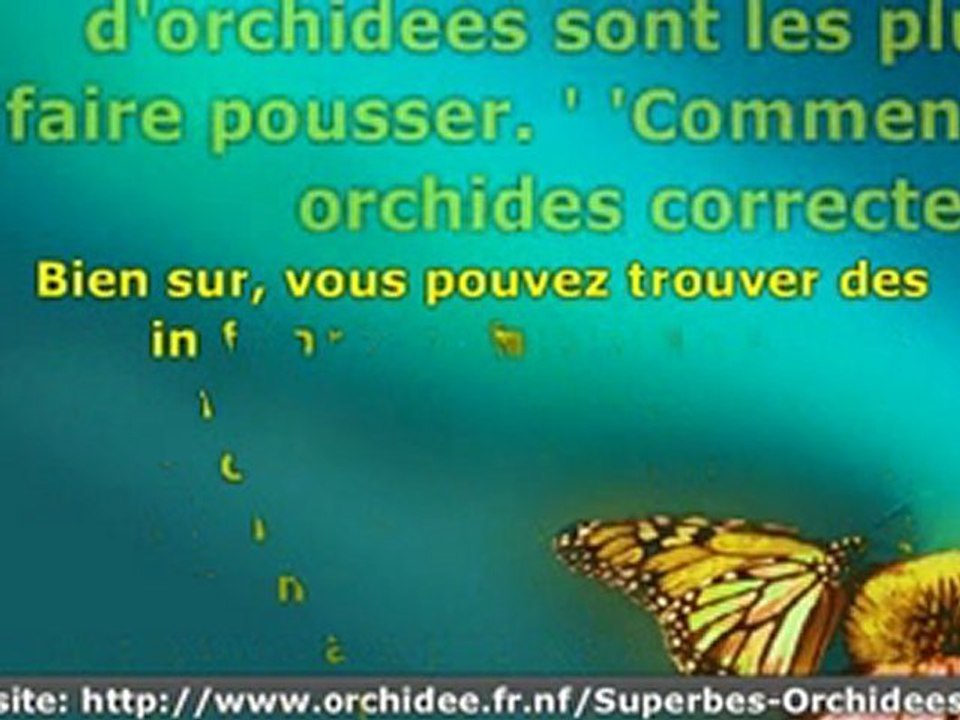 Entretien des Orchidees