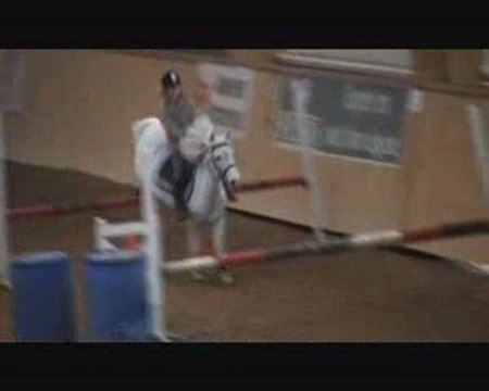 Zoé et Choco - entrainement 24 janvier 10