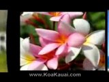 Kauai Vacation Rentals