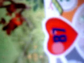 mongole qui joue a dofus