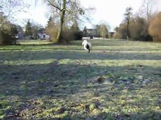 Lakota qui se defoule