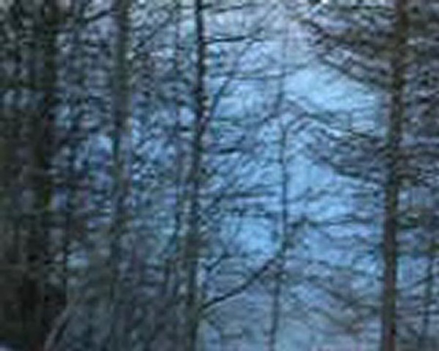 DSCN7763Traversée du queyras 2010