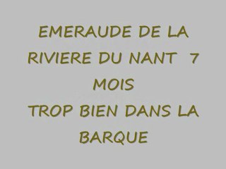 EMERAUDE DE LA RIVIERE DU NANT