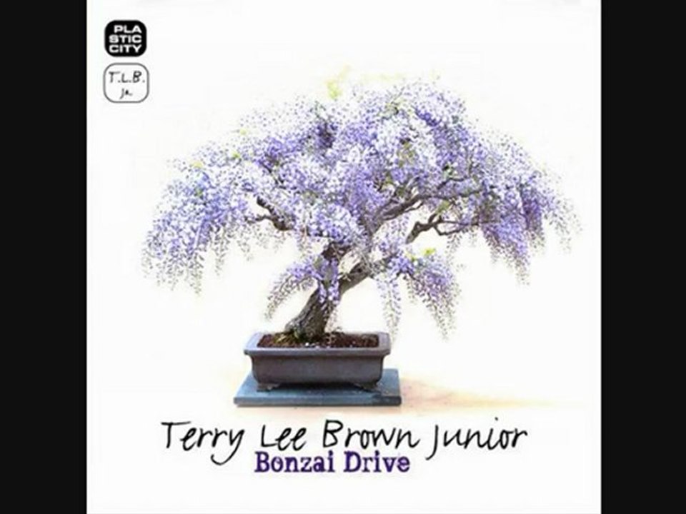 Terry Lee Brown Junior - Dismount