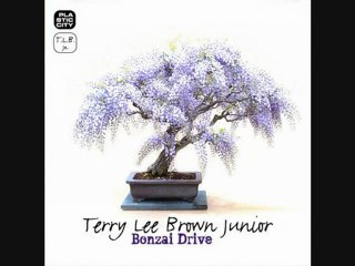 Terry Lee Brown Junior - Dismount