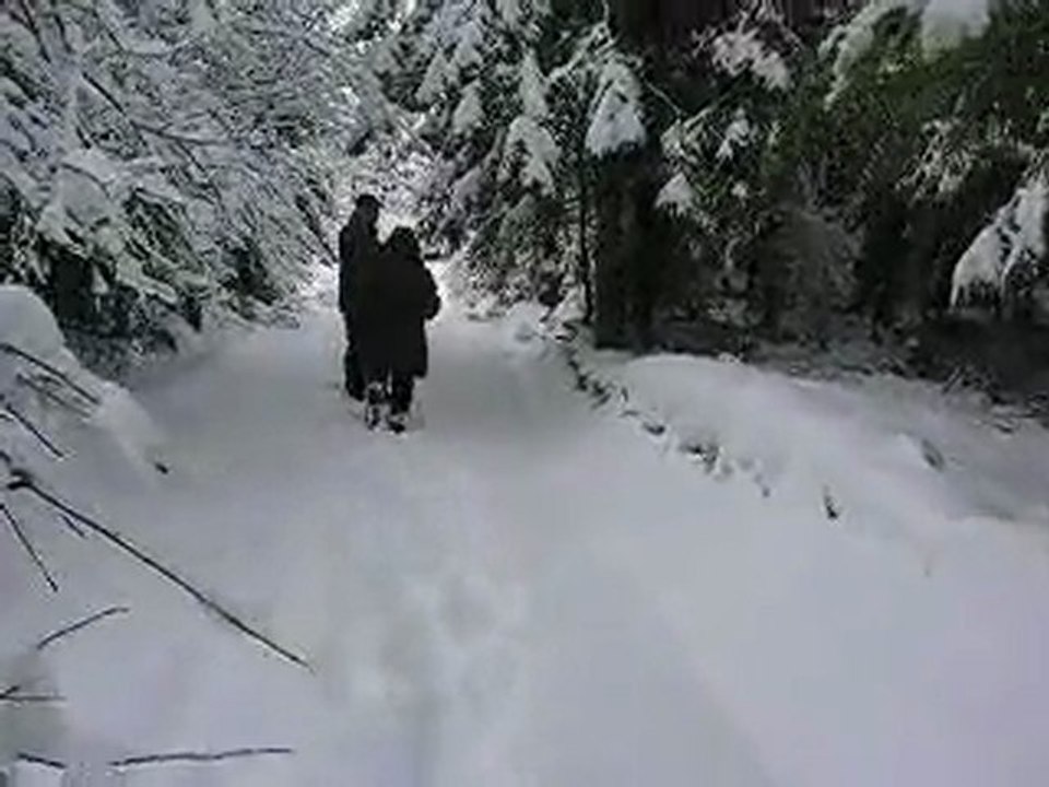 DSCN9938