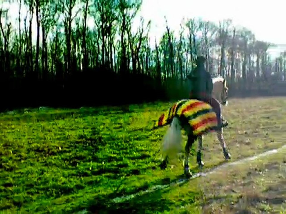 départ au galop champs
