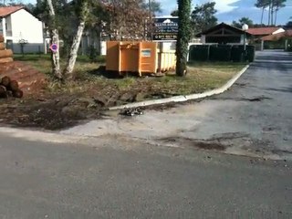 TRAXXAS NITRO TIRAGE DE BOURRE