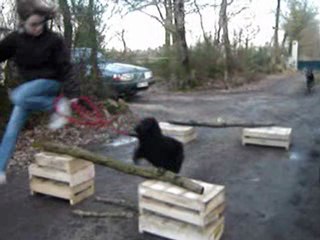 Dilou en saut dehors