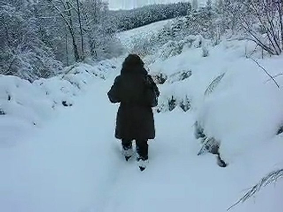 DSCN9944