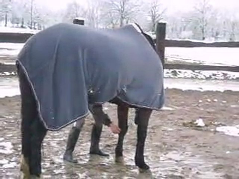 Jeux avec Hercule ^^ 2