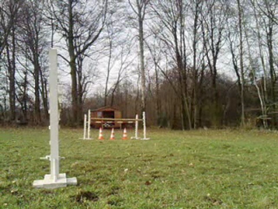 V310110_14.50