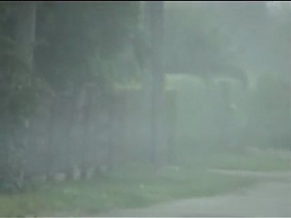 MKT MS viršininkas D.Januška