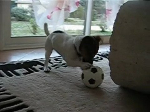 cannelle joue au foot