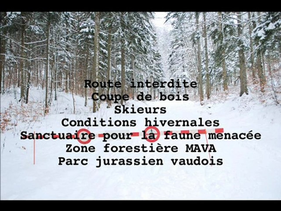 Mt Tendre, 31 janvier 2010