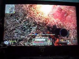 call of duty modern warfare 2 bug