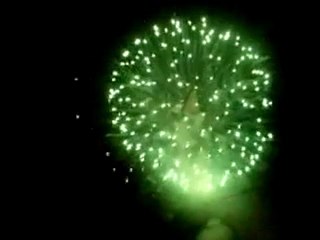 Fuochi d'artificio a Pisa