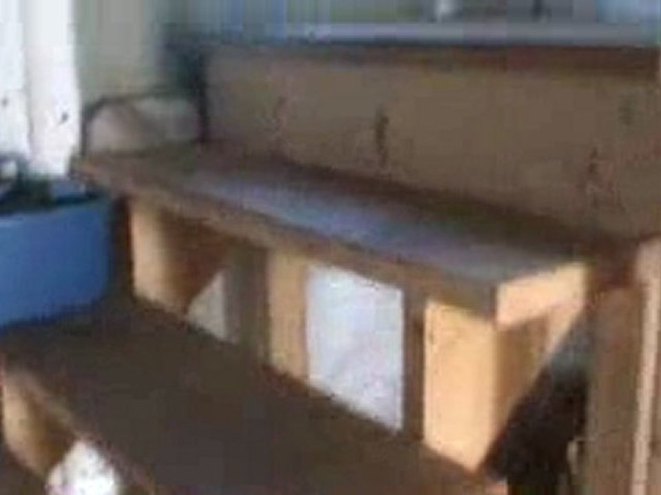 Écurie du Ptit Bonheur!