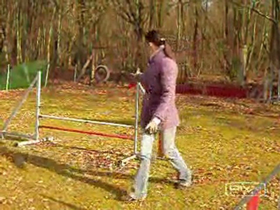 Valeska 2eme agility