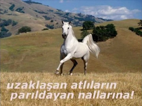 Nazım Hikmet salkım söğüt Müzik Zülfü Livaneli