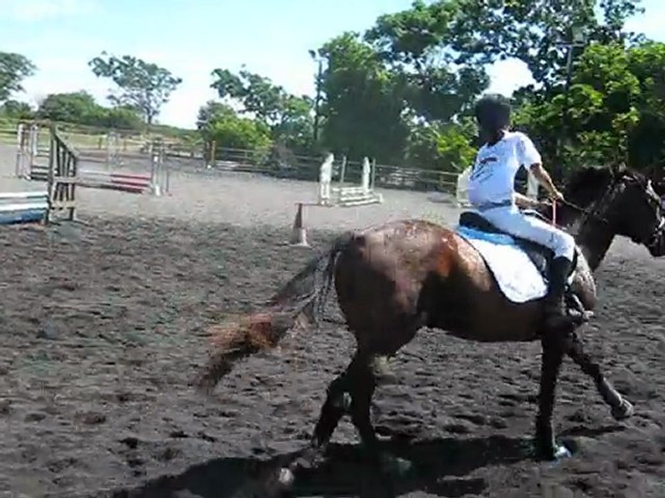 MVI_2235