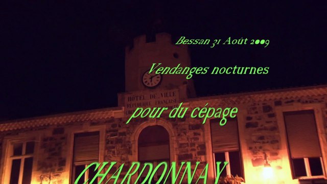 Vendange du Chardonnay à la machine