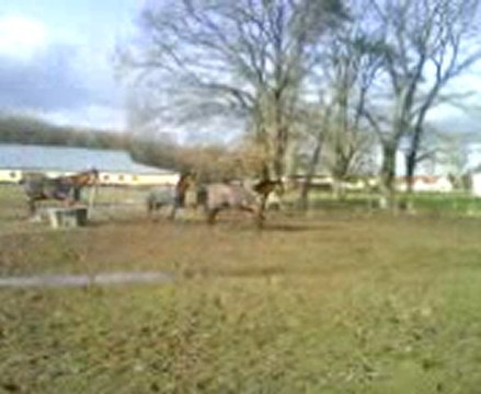 MAGICA AU PRé 31/01/2010 2