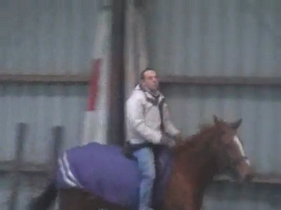 peggy au galop 31.01.10