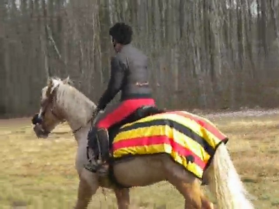 exo départ au galop dans le calme